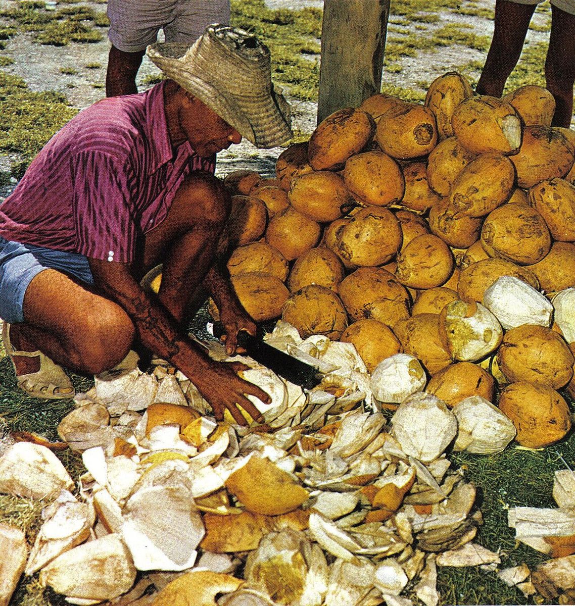 Seychellois Cuisine